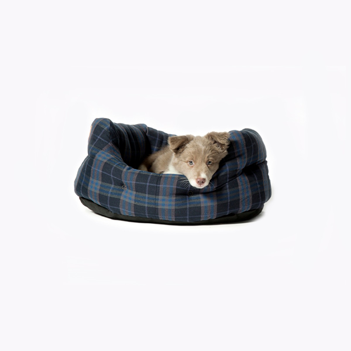 Lumberjack Navy Deluxe Slumber Dog Bed