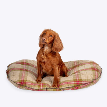 Newton Moss Quilted Dog Mattress