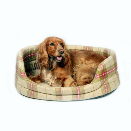 Newton Moss Slumber Dog Bed