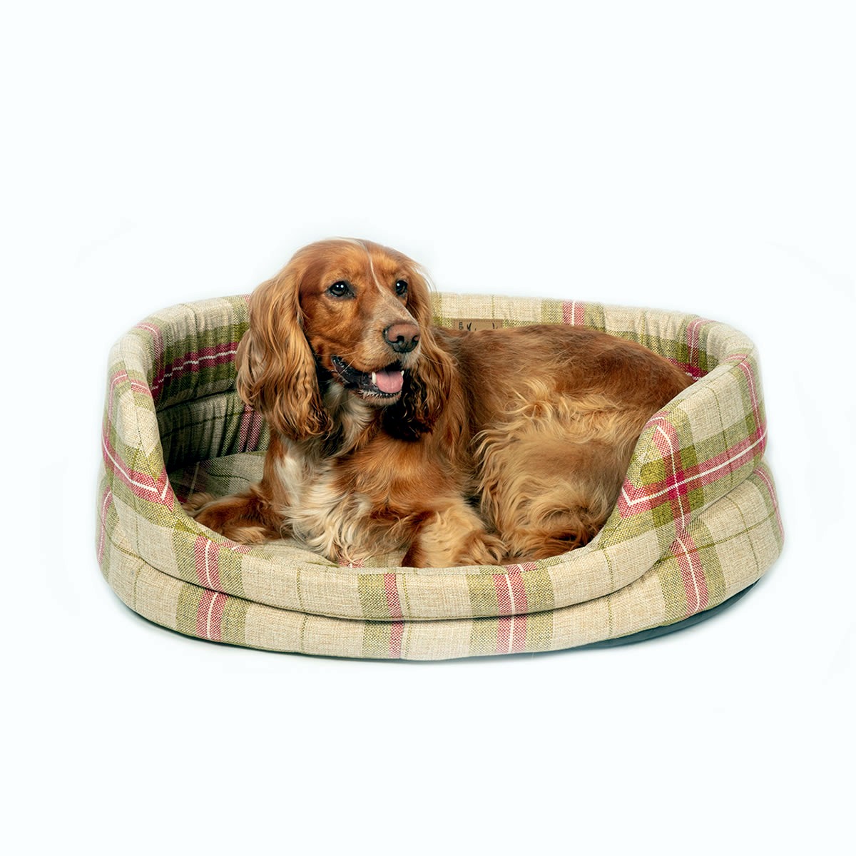 Newton Moss Slumber Dog Bed