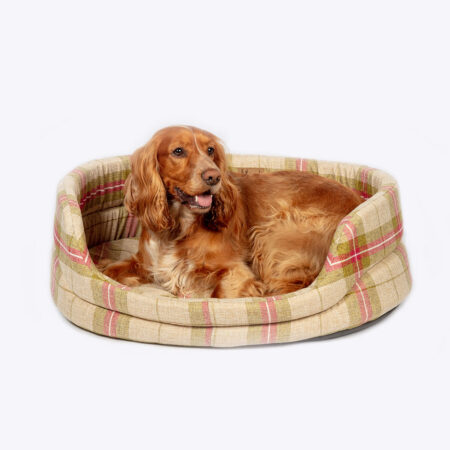 Newton Moss Slumber Dog Bed