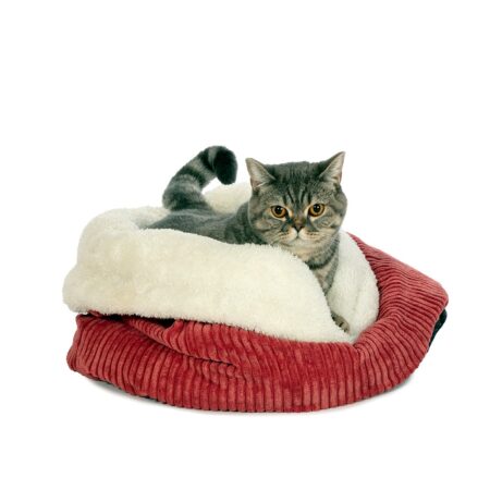 Pet Nest Berry