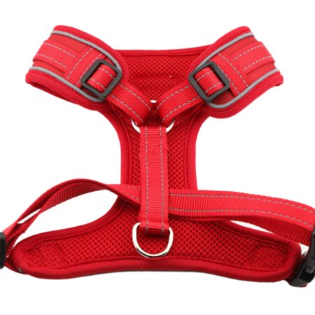 Alternative view of Airmesh Dog Harness