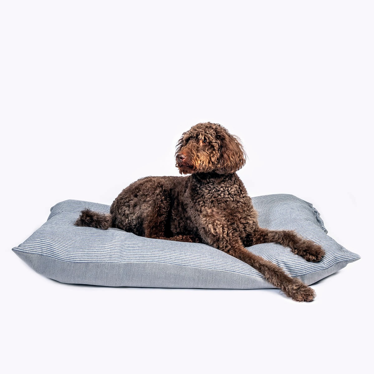 Rustic Stripes Grey Dog Duvet Cover - Image 2