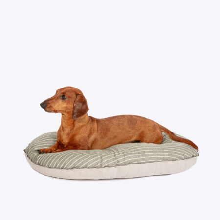 Rustic Stripes Sage Quilted Dog Mattress