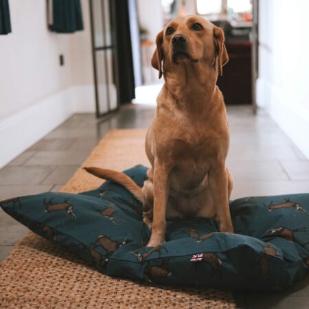 Woodland Stag Deep Duvet Dog Bed - Image 6