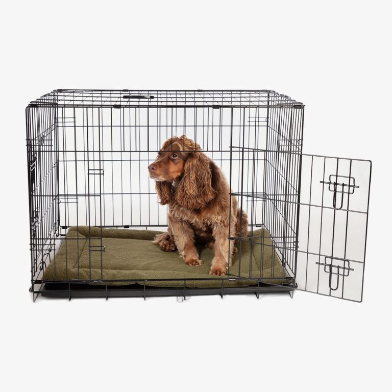 Cocker spaniel sitting calmly in an open wire dog crate on an olive fleece crate mattress