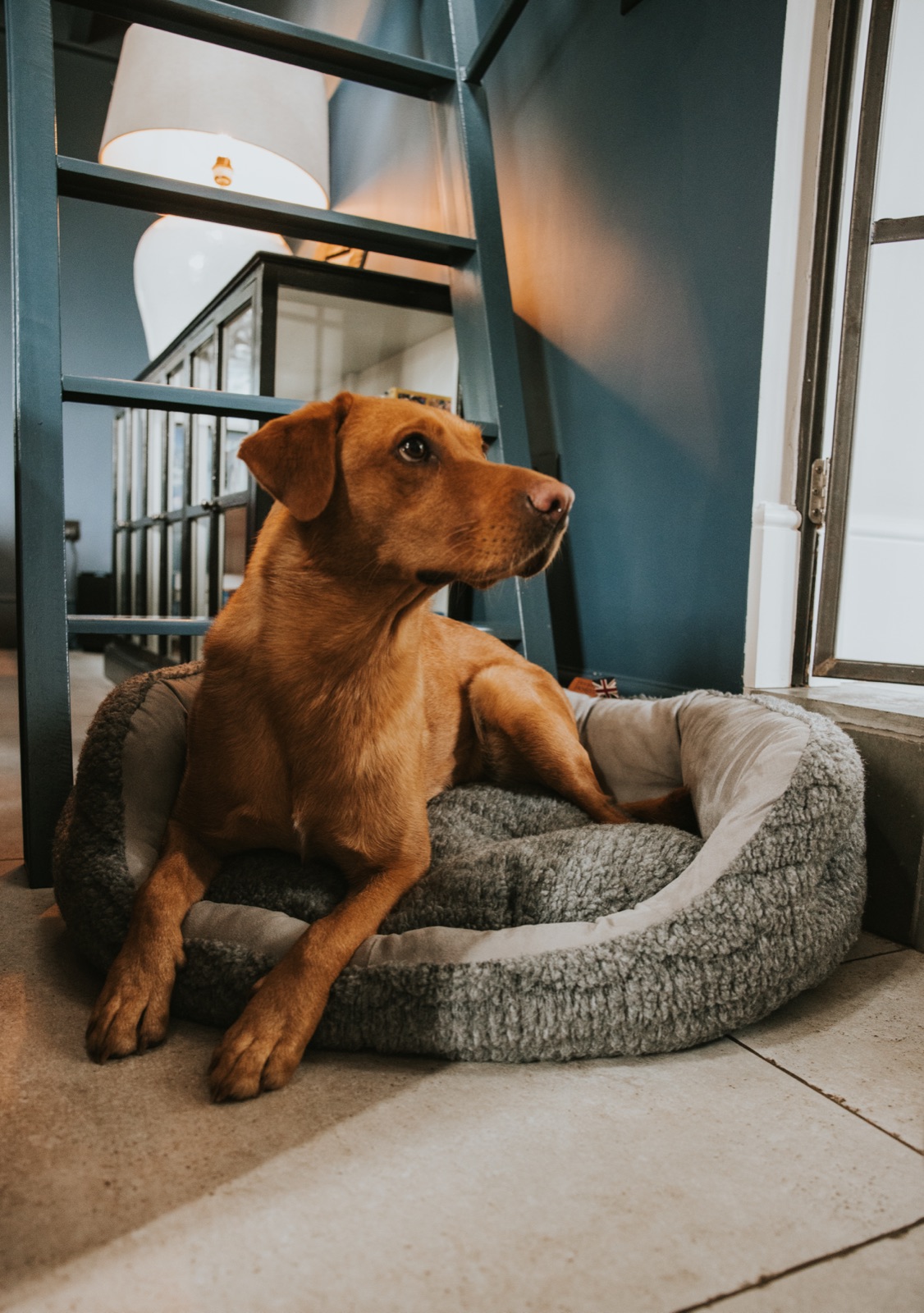 Grey Bobble Fleece Slumber Dog Bed - Image 9